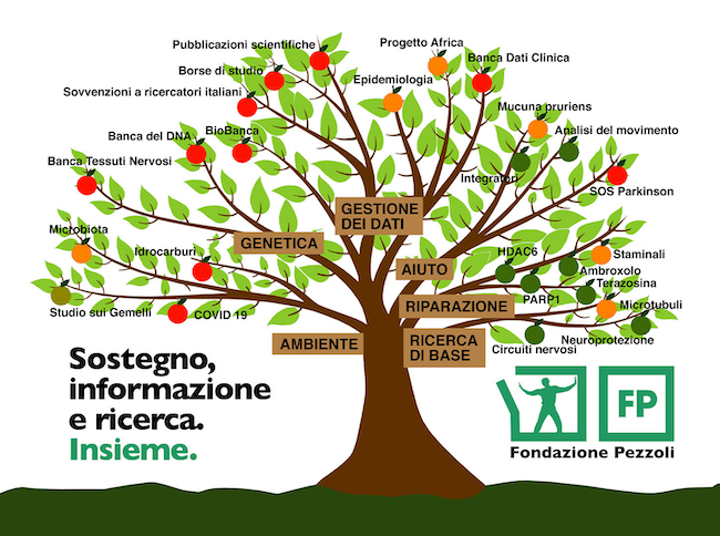 albero 2024